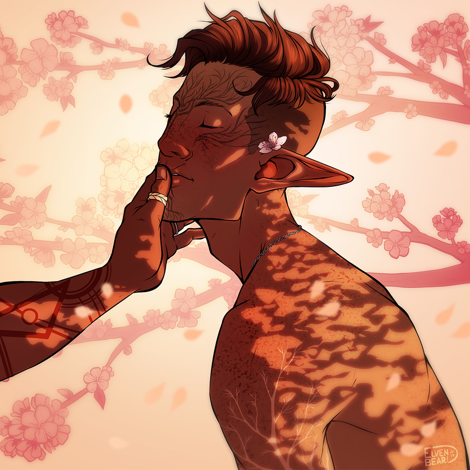 Cherry Blossoms